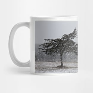 Snow Squall Mug